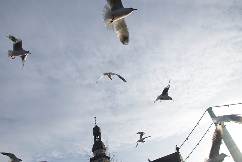 The picture is showing the artwork Your prospects will be heightened by the artist Sandra Miriam Ehlen