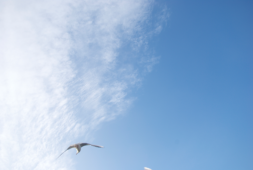 The picture is showing the artwork Your prospects will be heightened by the artist Sandra Miriam Ehlen